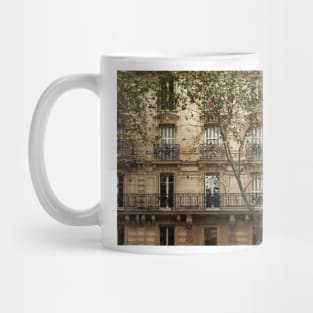 Parisian Building Facades - 5 © Mug